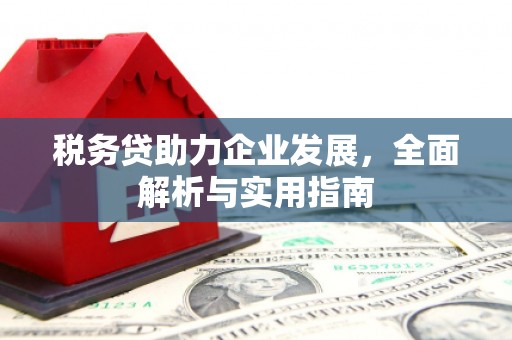丹阳税务贷助力企业发展，全面解析与实用指南