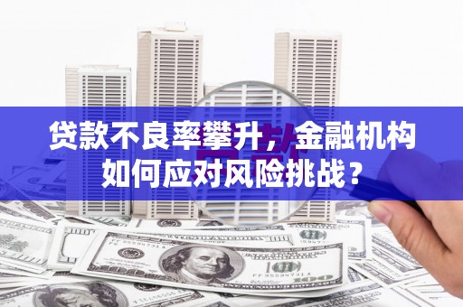 丹阳贷款不良率攀升，金融机构如何应对风险挑战？