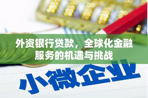 丹阳外资银行贷款，全球化金融服务的机遇与挑战